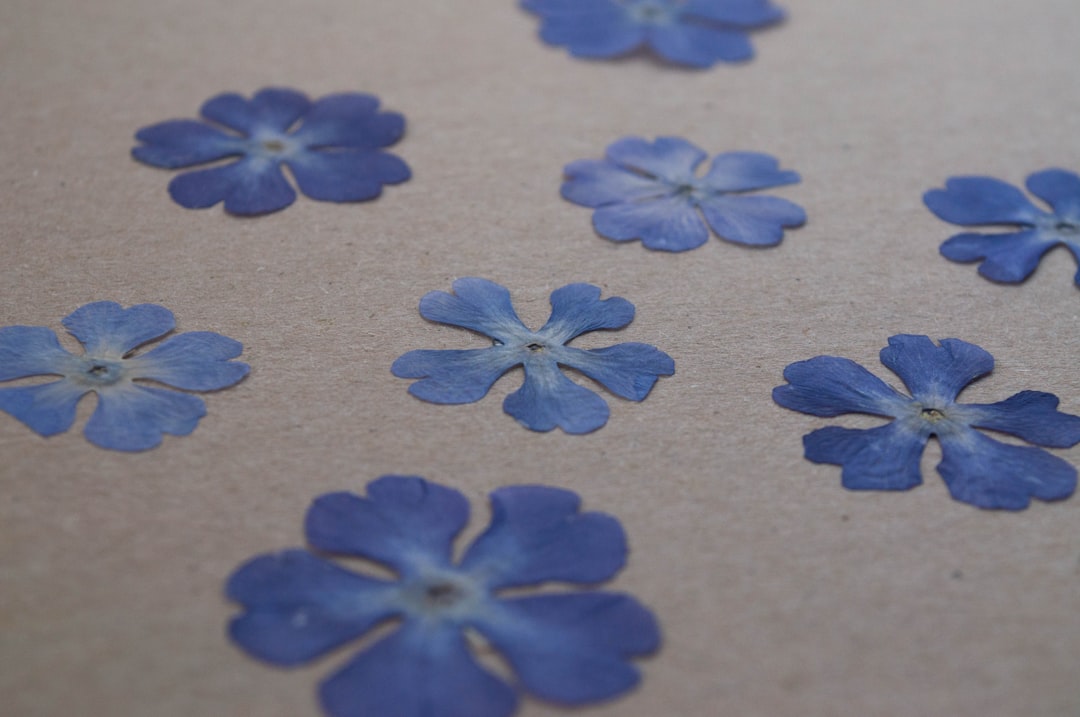 The Art of Upcycling: Transforming Trash into Treasure